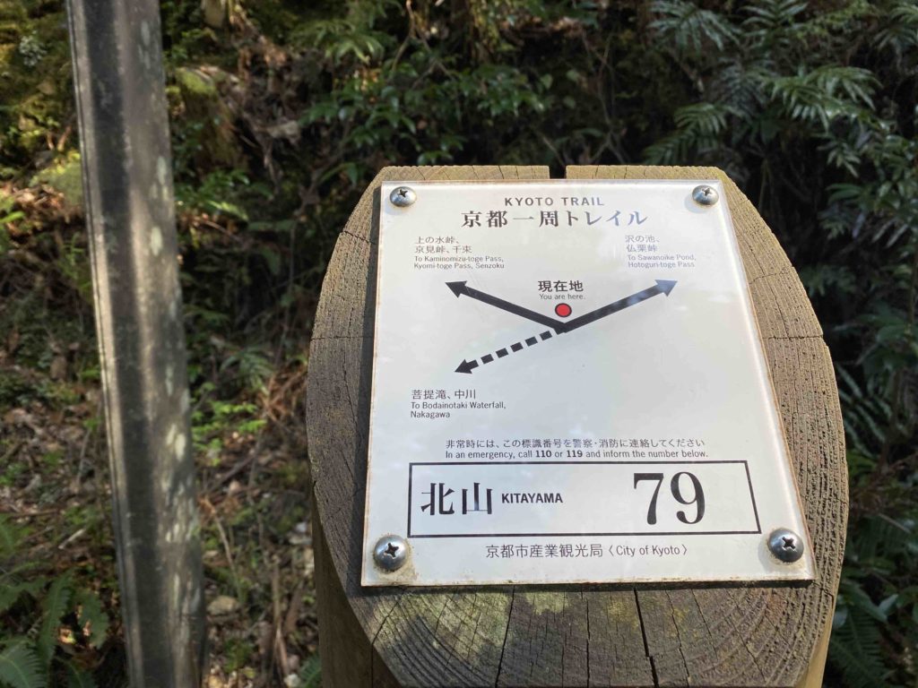 京都一周トレイル　沢ノ池