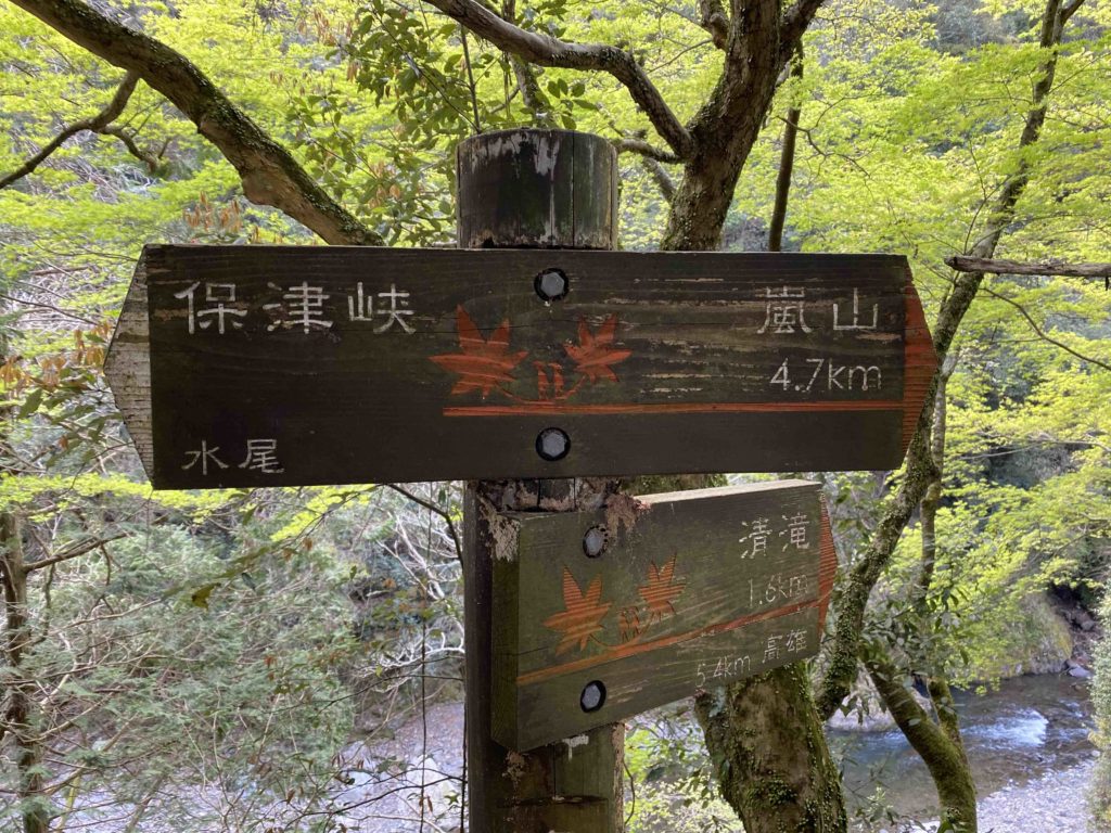 京都一周トレイル　嵯峨　嵐山